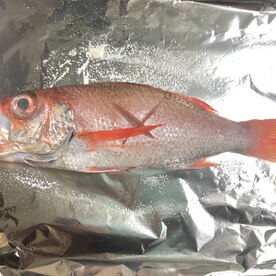 オーブンで美味しく美しく のどぐろの塩焼き レシピ 作り方 By 善ちゃん 楽天レシピ オーブンで美味しく美しく のどぐろの塩焼き レシピ 作り方 By 善ちゃん 楽天レシピ